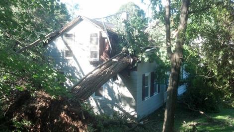 Emergency Tree Removal upstate, NY