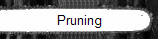 Pruning