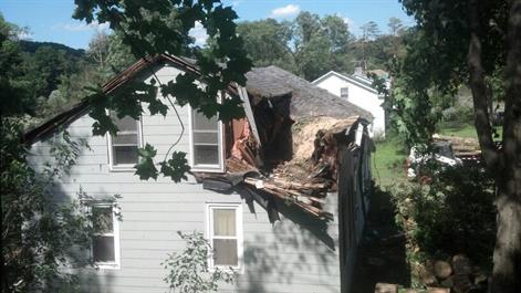 Emergency Tree Removal upstate, NY