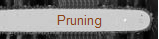 Pruning